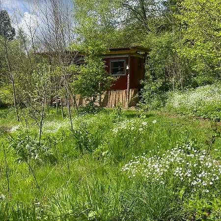Kuscheliger Zirkuswagen Im Wildgarten Campo de lujo Witzenhausen