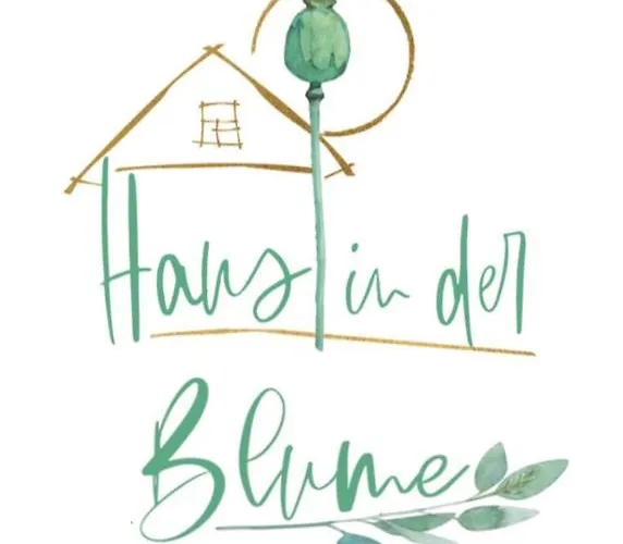 Kuscheliger Zirkuswagen Im Wildgarten Witzenhausen