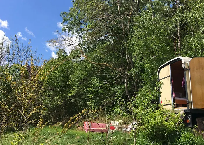 Kuscheliger Zirkuswagen Im Wildgarten
